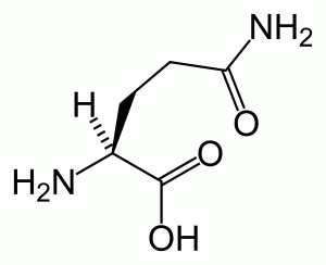 L-glutamine-skeletal 左旋麩醯胺酸