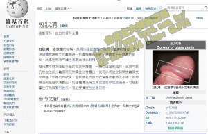 [ 圖解說明 ] 性事使用麻膏的正確用法 / 蟾酥 / 利皮多乳膏 IDOCAINE PRILOCAINE / 哪裡買? 早洩 做愛時塗持久液 持久 青紅灯 挑戰 Swag